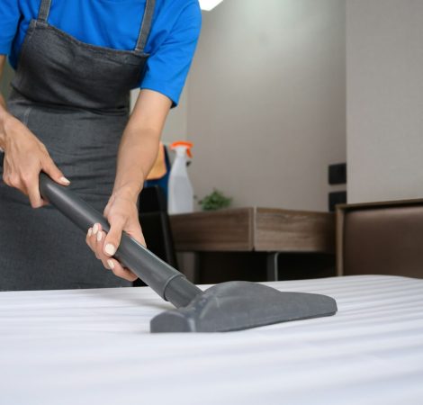 Housekeeping and cleaning service concept